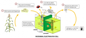 Microbial electrolysis cell