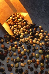 Soybean feedstocks as one potential source for DME